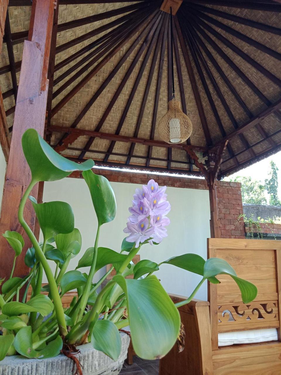 D'Puja Home Stay And Spa Nusa Dua  Exteriör bild